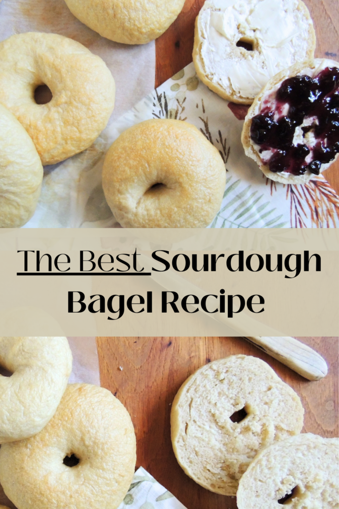 two photos of bagels with text in-between that says the best sourdough bagel recipe